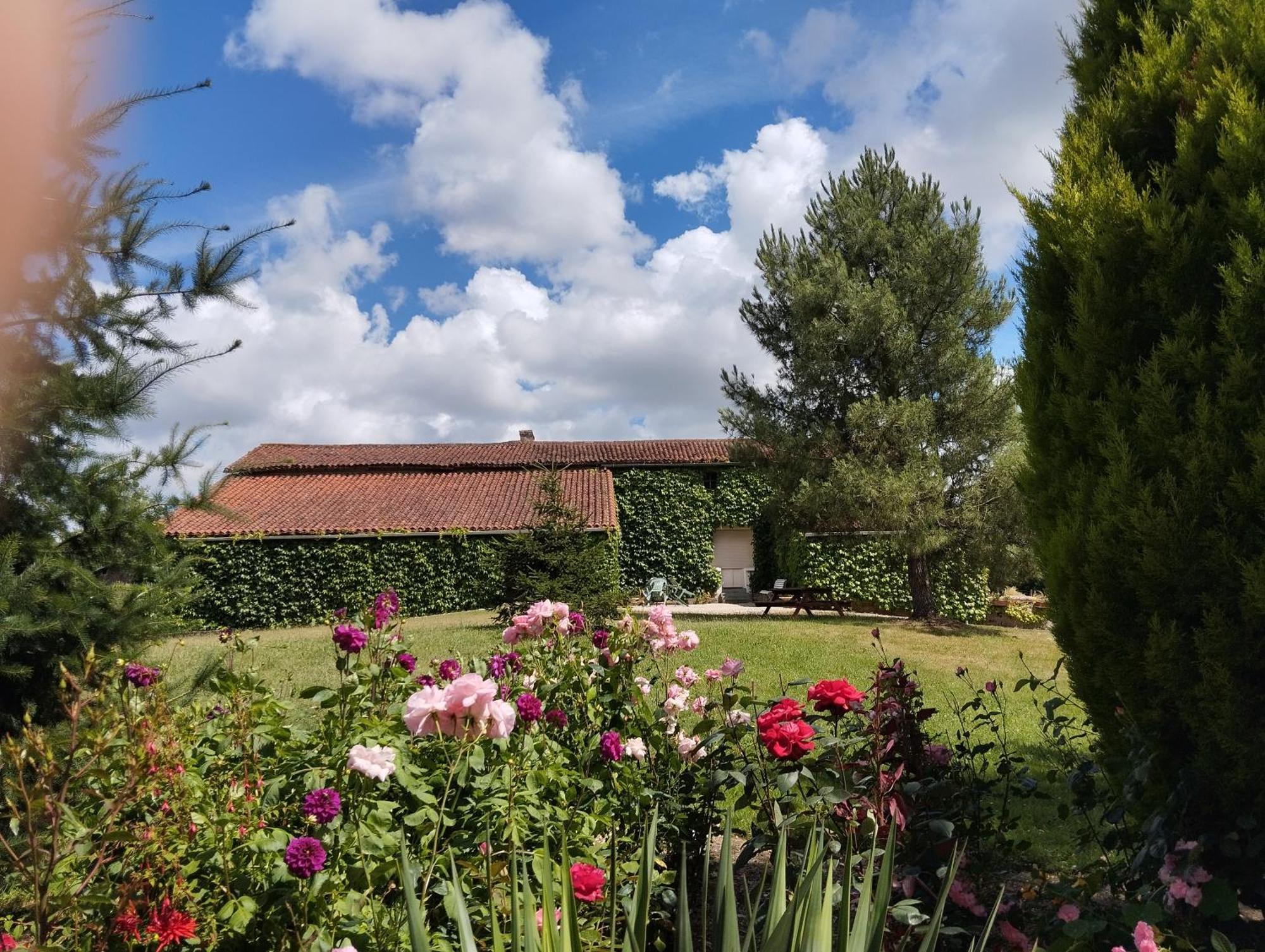 Maison Au Calme Avec Vue Etang Clesse  エクステリア 写真