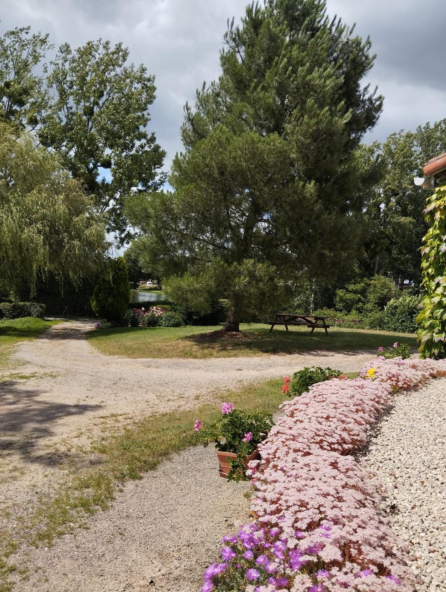 Maison Au Calme Avec Vue Etang Clesse  エクステリア 写真